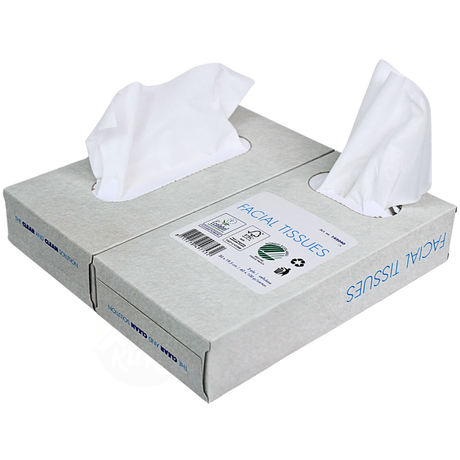 1000x Lommetørklæder, 2-lags ansigtsservietter (10 x 100) papirlommetørklæder, 20x20 cm, fsc og ecolabel - renseservietter cellulose